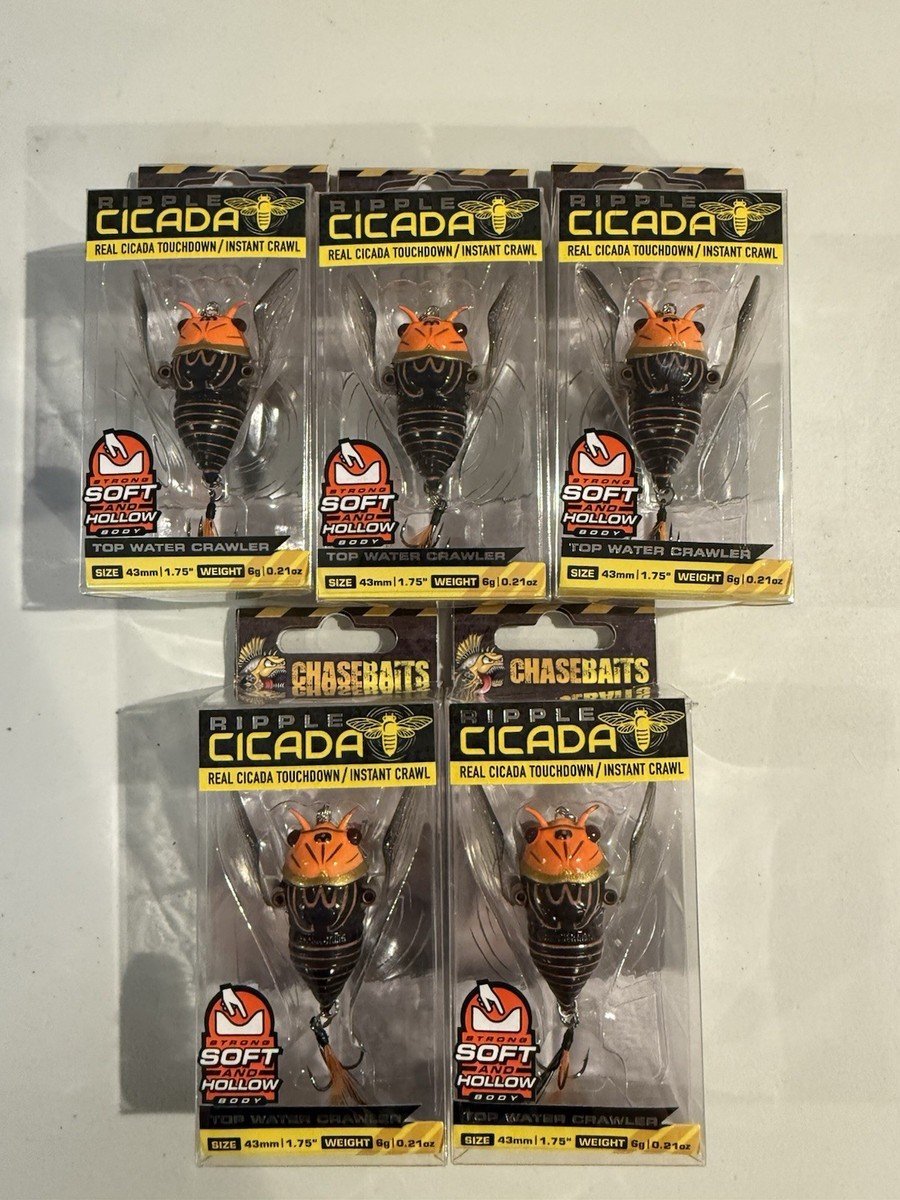 Leurre Flottant Chasebaits Ripple Cicada – 43 Mm – 6g – Imitation Insecte – Pêche En Mer
