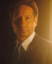DAVID DUCHOVNY signed autograph 20x25cm THE X FILES in person autograph ACOA