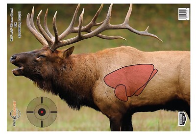 Birchwood Casey 35404 Pregame Elk Paper Target 16.50'' x 24'' 3 Per Pkg
