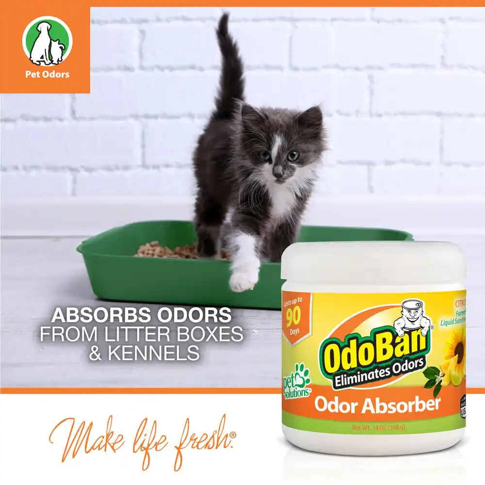 OdoBan 14 oz. Citrus Solid Odor Absorber, Odor Eliminator for Smoke (3-Pack)