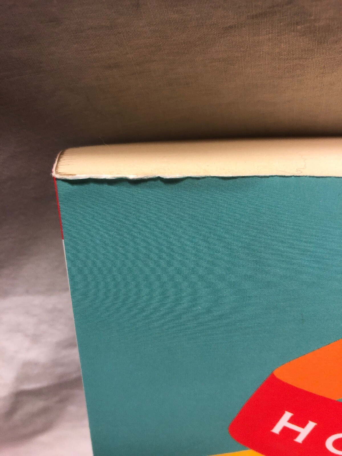 How To Start A Fire Lisa Lutz Advanced Readers Edition Copy Uncorrected Proof