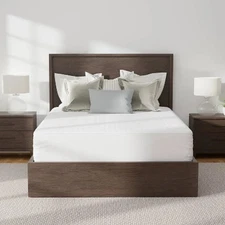 Allerease Queen Platinum Zip-Off Plush Top Waterproof Allergen and Bedbug