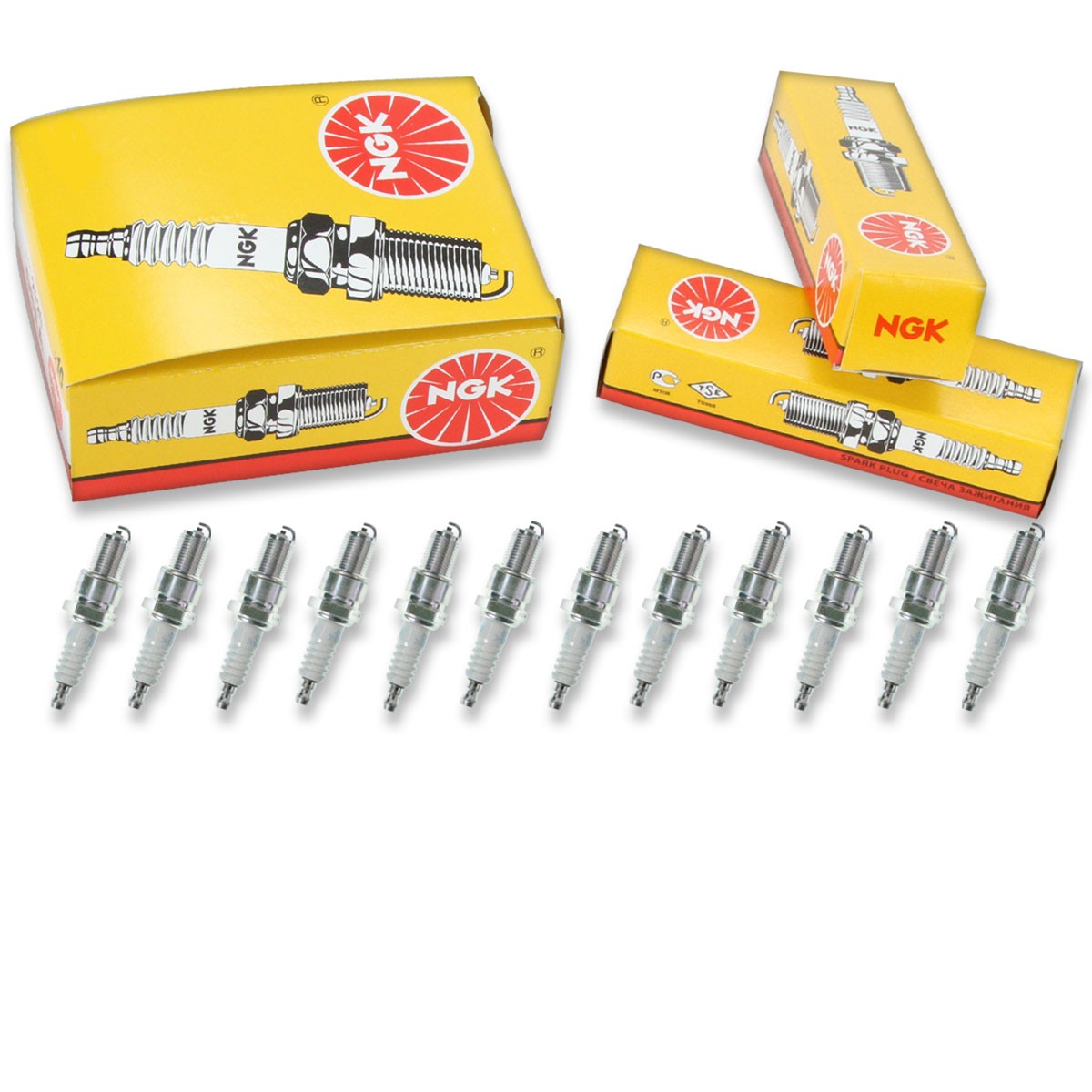 12 pcs NGK Standard Spark Plugs for 1968 Ferrari 275 GT 3.3L V12 - Engine ou