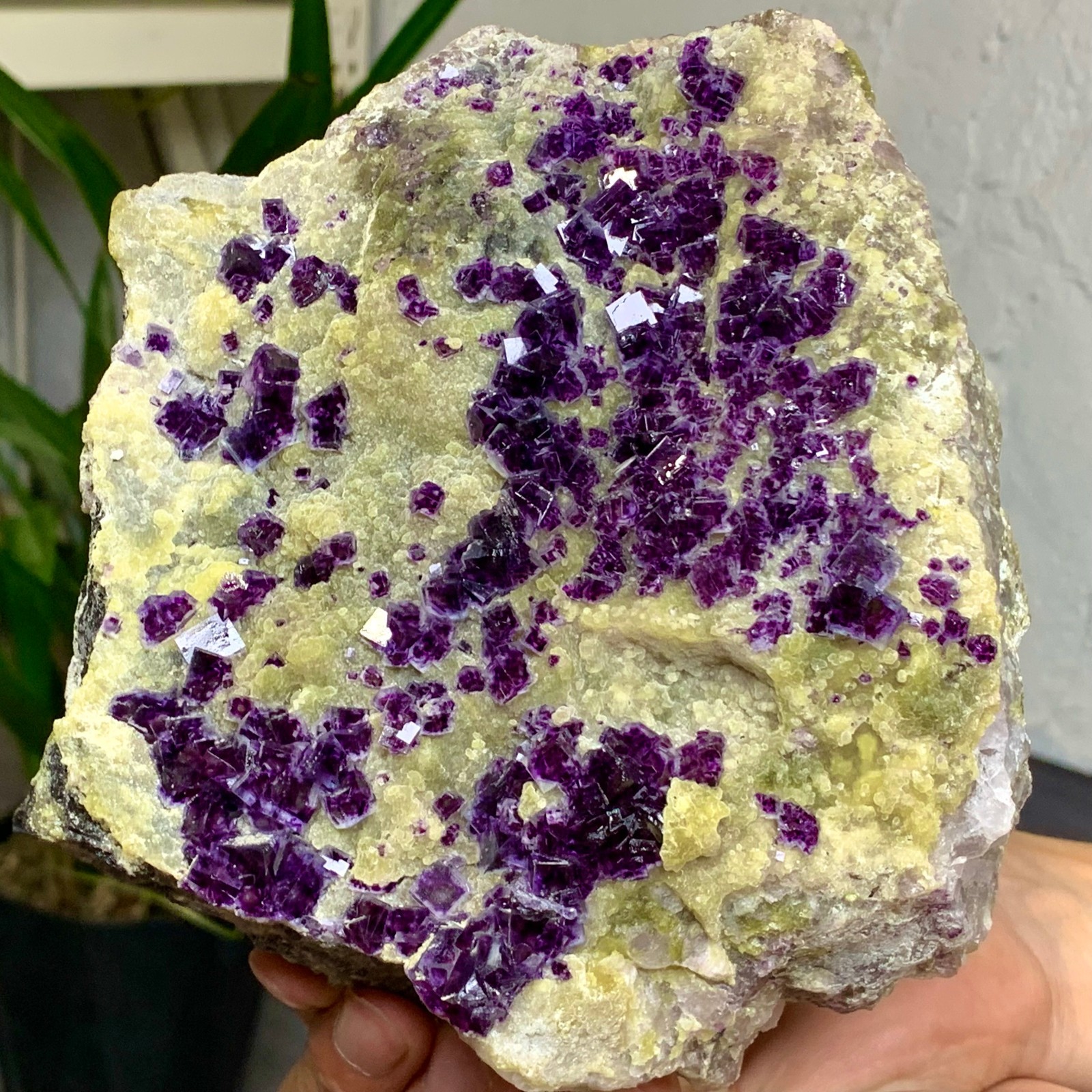 3.93LB Natural Purple Phantom Fluorite Cube Crystal Specimen from Yaogangxian