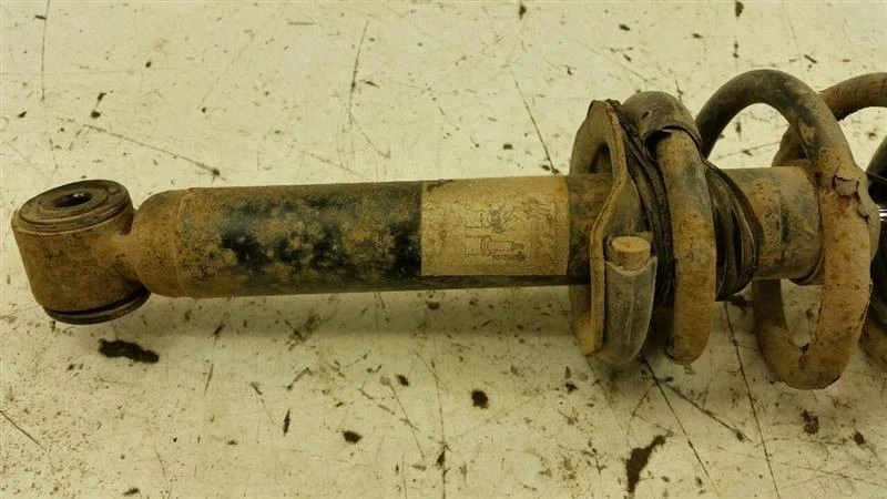 Strut Rear Back S Fits 00-06 Nissan Sentra - Image 2 of 3