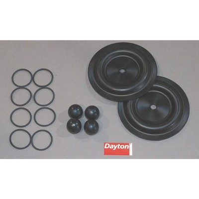 DAYTON 6PY60 Diaphragm Pump Repair Kit,TPV,For 6PY36 6PY60
