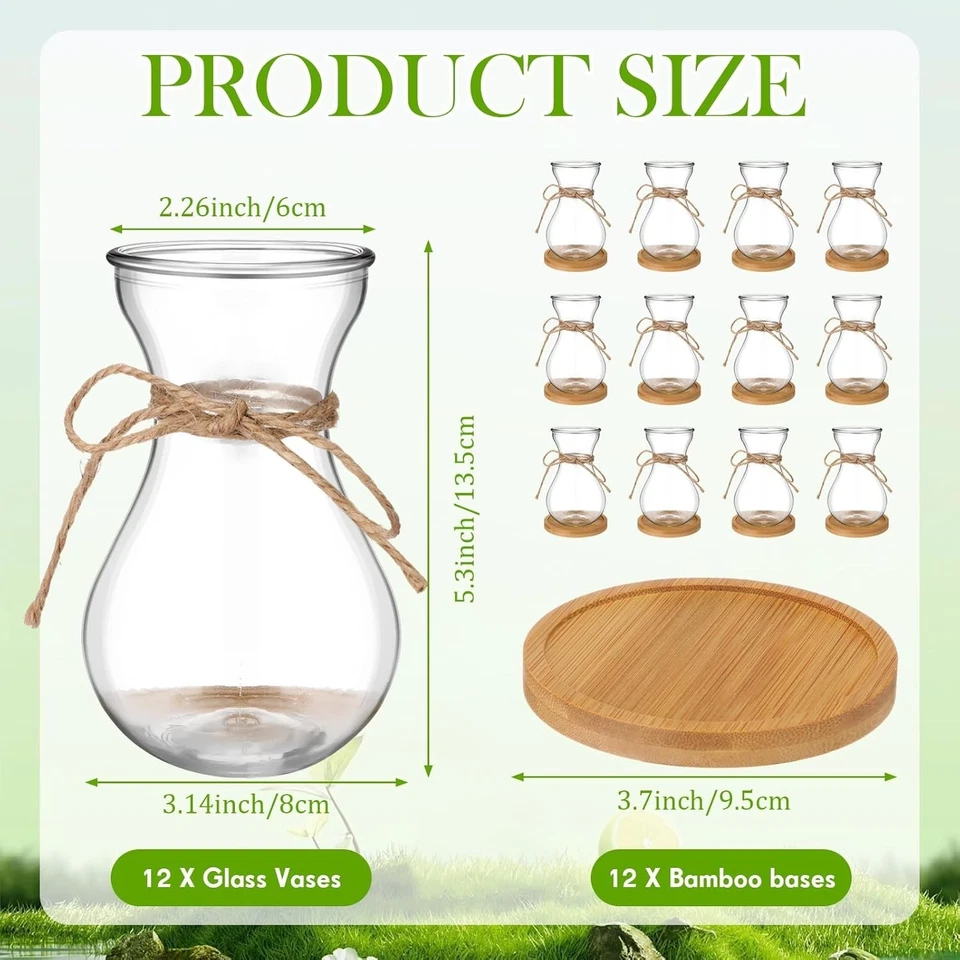 Bulb Glass Vases for Flowers Forcing Hyacinth Clear Decorative Bulb Vase - Image 2 of 4