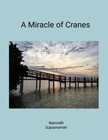 Ramnath Subramanian | A Miracle Of Cranes | Taschenbuch | Englisch (2024)