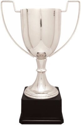 Silver Completed Zinc Cup Trophy on Plastic Base Sports Clubs Events Awards