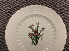 Spode England Bermuda Flowers Bermudiana Plate 9" - Accent Display Gorgeous NEW