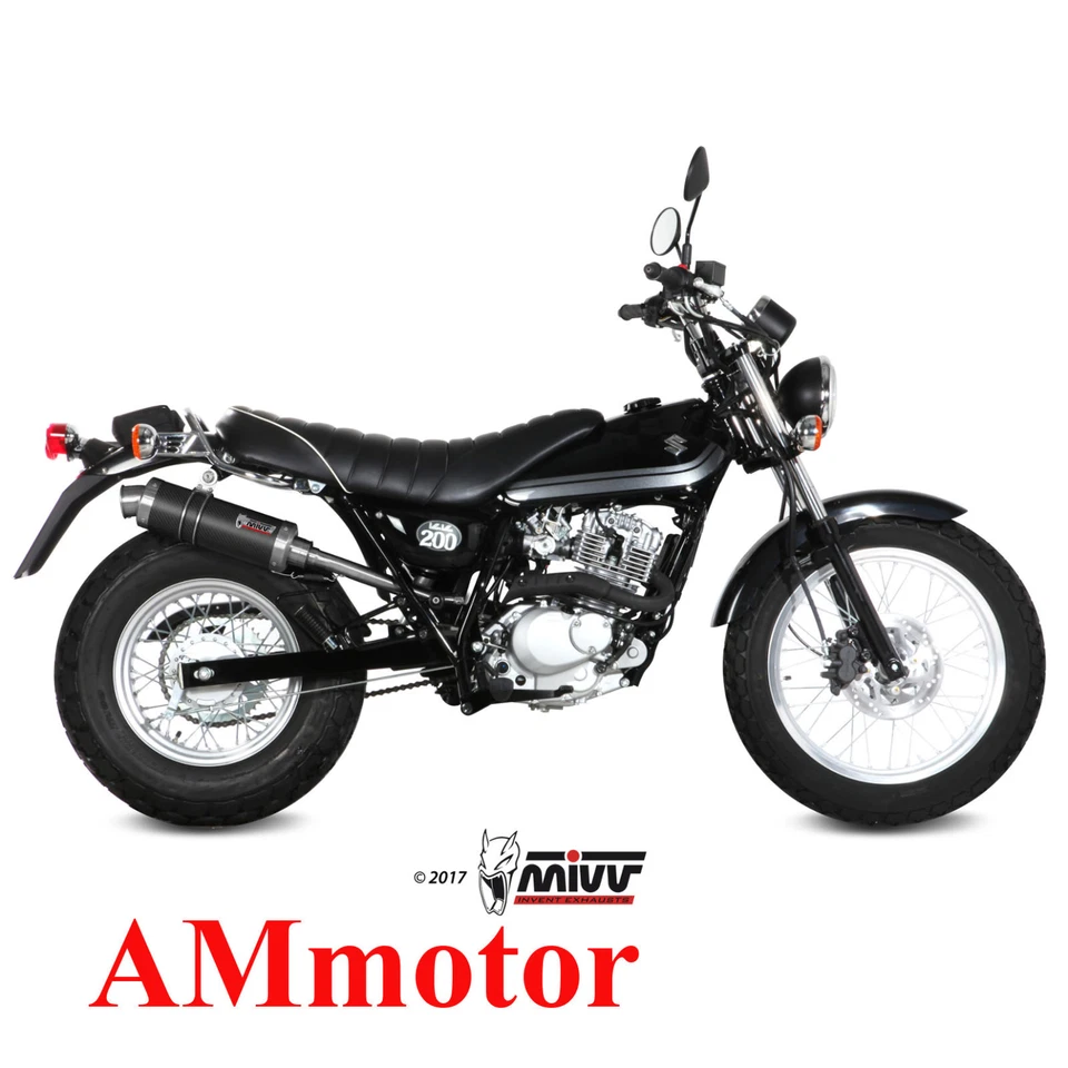 Mivv Suzuki Van Van 200 2018 18 Pot D' Echappement Moto Gp Carbon - Photo 1/1