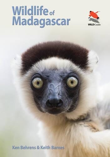 Thumbnail - Keith Barnes Ken Behrens Wildlife Of Madagascar (taschenbuch) (us
