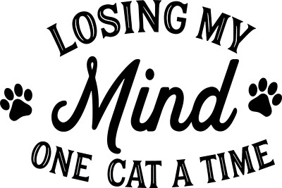 Losing My Mind Eine Katze nach der anderen Vinyl-Aufkleber Sticker für Auto/Fenster/Wand