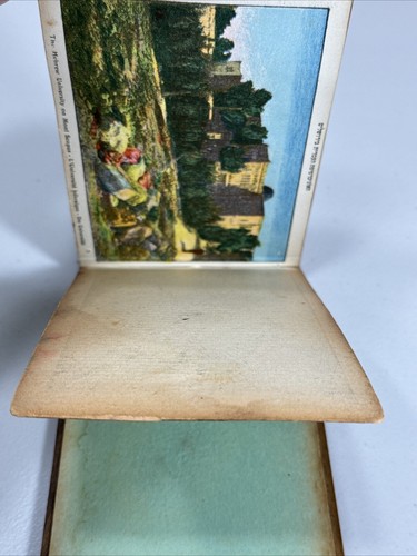 Flowers of the Holy Land Pressed Flower Book - Olive Wood Covers - Jerusalem - Picture 13 of 15