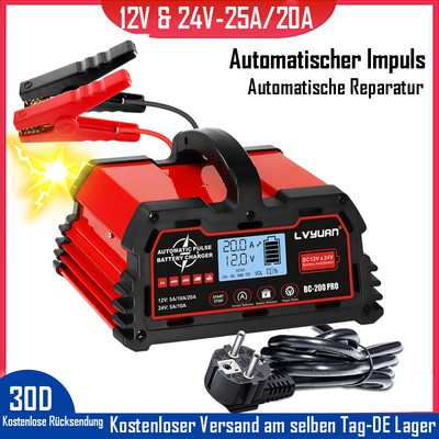 12V 24V Auto-Batterie-Ladegerät Automatische Impuls-Reparatur für 12V LiFePo4