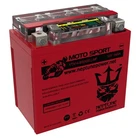 ATV Battery YTX14-BS for Honda TRX 500 420 450 350 300 Rubicon Foreman Rancher