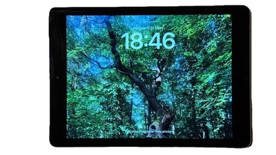 Apple iPad 6 Generation 32 GB Space Gray