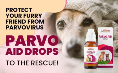 Diarrhea For Dogs What Helps Dogs With Parvo Parvo Aid Oro Nasal - Main Image