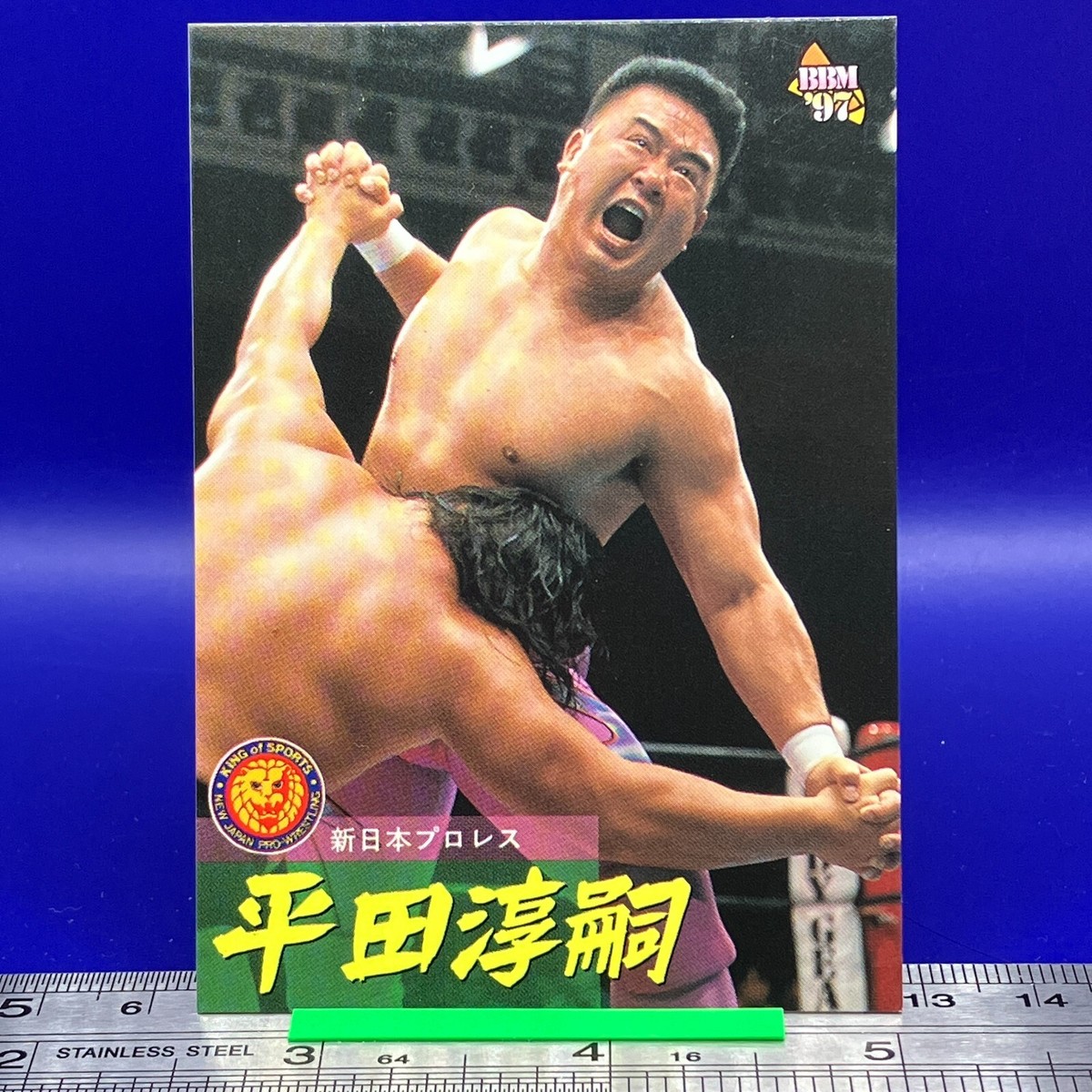 Junji Hirata BBM Pro Wrestling Card TCG Vintage Japanese #9 | eBay