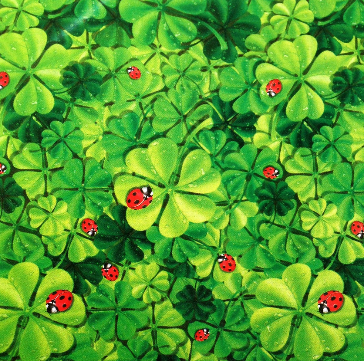 Lady Bug Tovaglia In Plastica Con Tema Coccinella – 120x180 Cm, Divertente E Brevettata