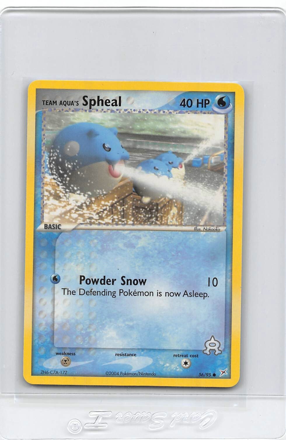 SPHEAL 56/95 - NON-HOLO - COMMON- Team Magma Vs Team Aqua - Pokemon Card - NM