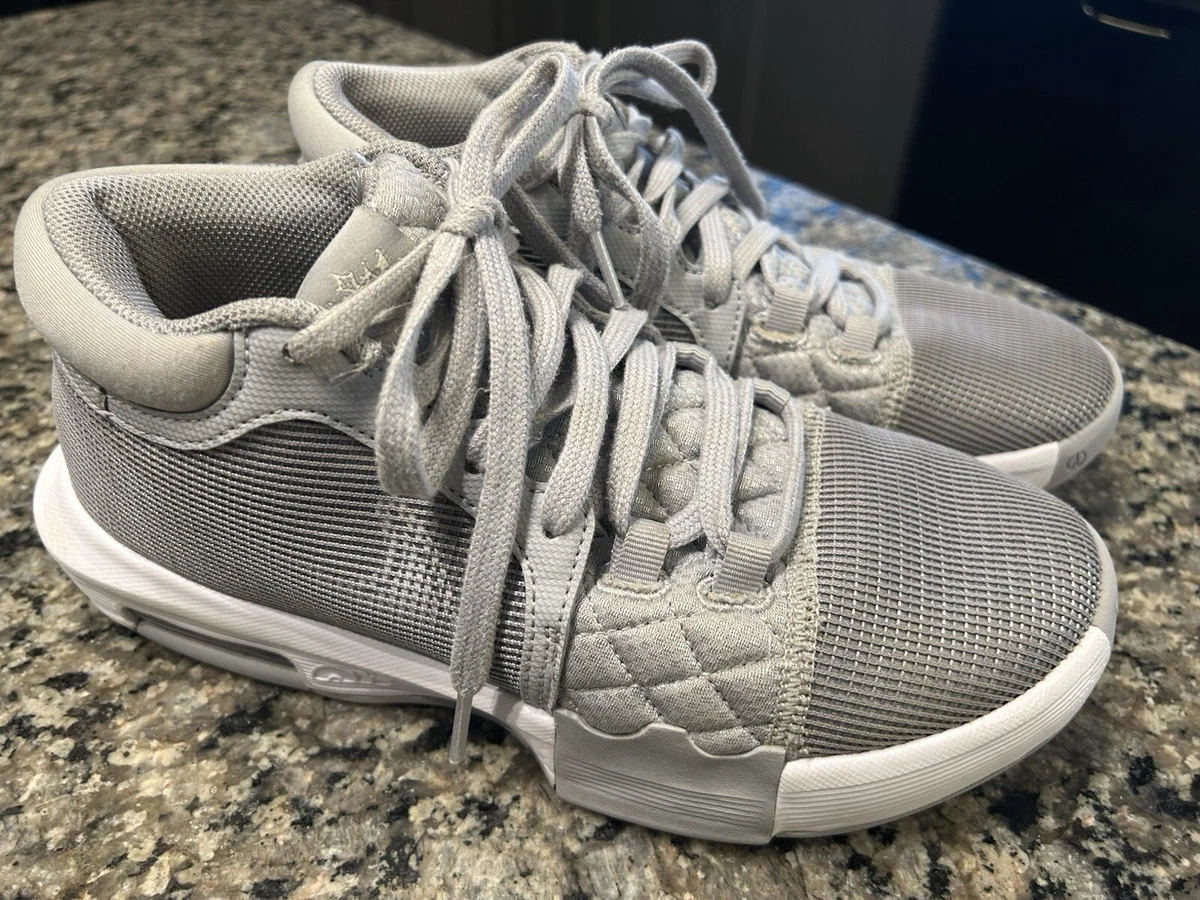 Nike LeBron Witness 6 TB Wolf Grey for Sale | Authenticity  display picture 1