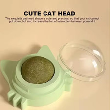 Toys for Cats Catnip Indoor Interactive Wall Spin Ball Natural Mint Enhances