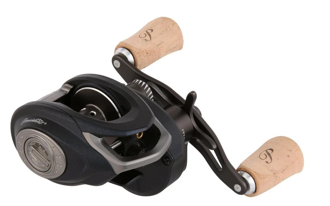 Pflüger Baitcast Reel Fishing Reels with Low Profile for sale | eBay