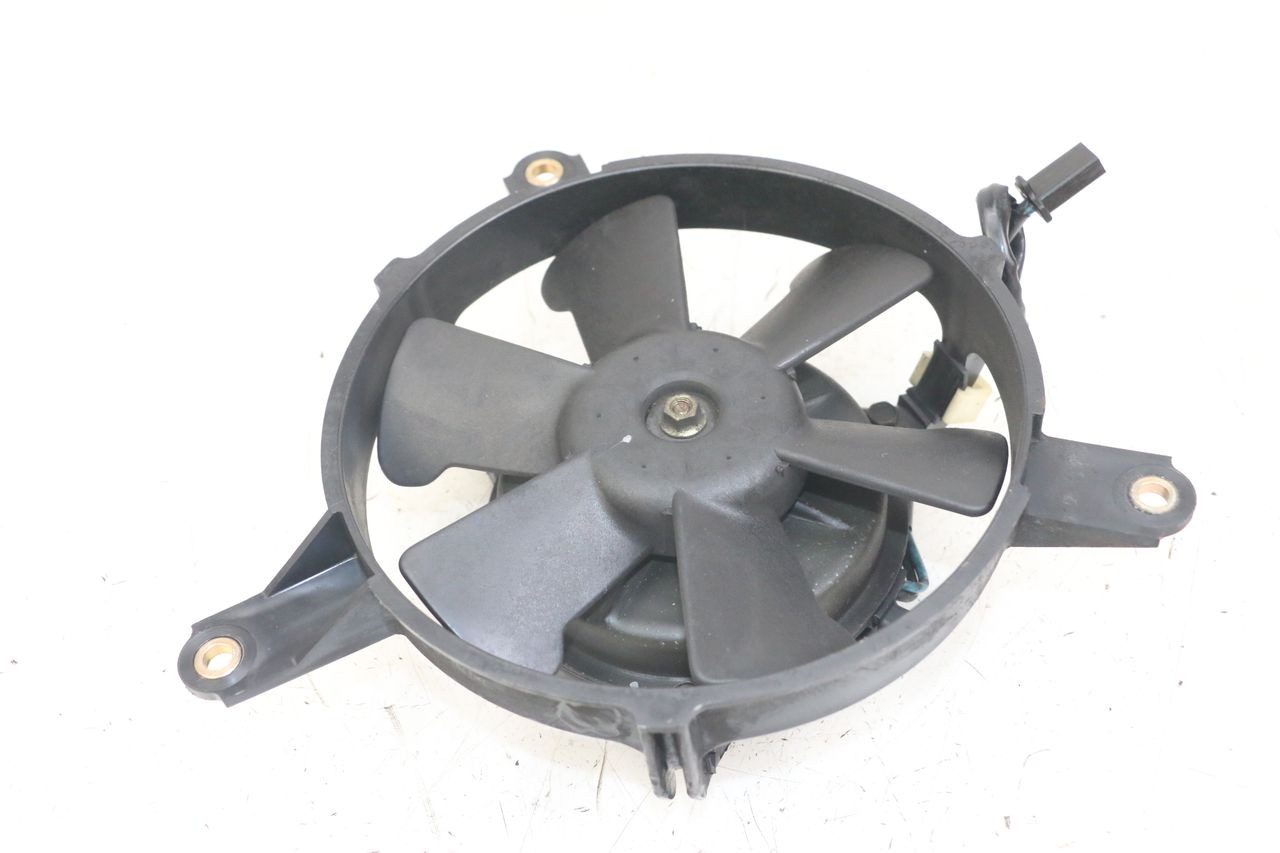 FAN - HONDA FJS SILVERWING SILVER WING 600 (2001 - 2010)
