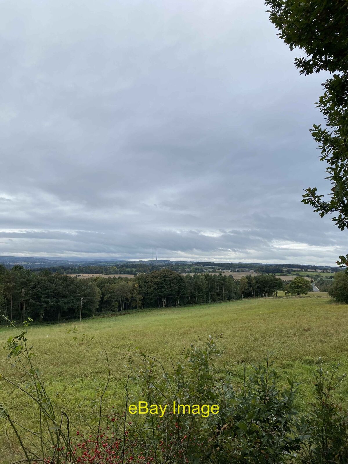 Foto 1 di 1