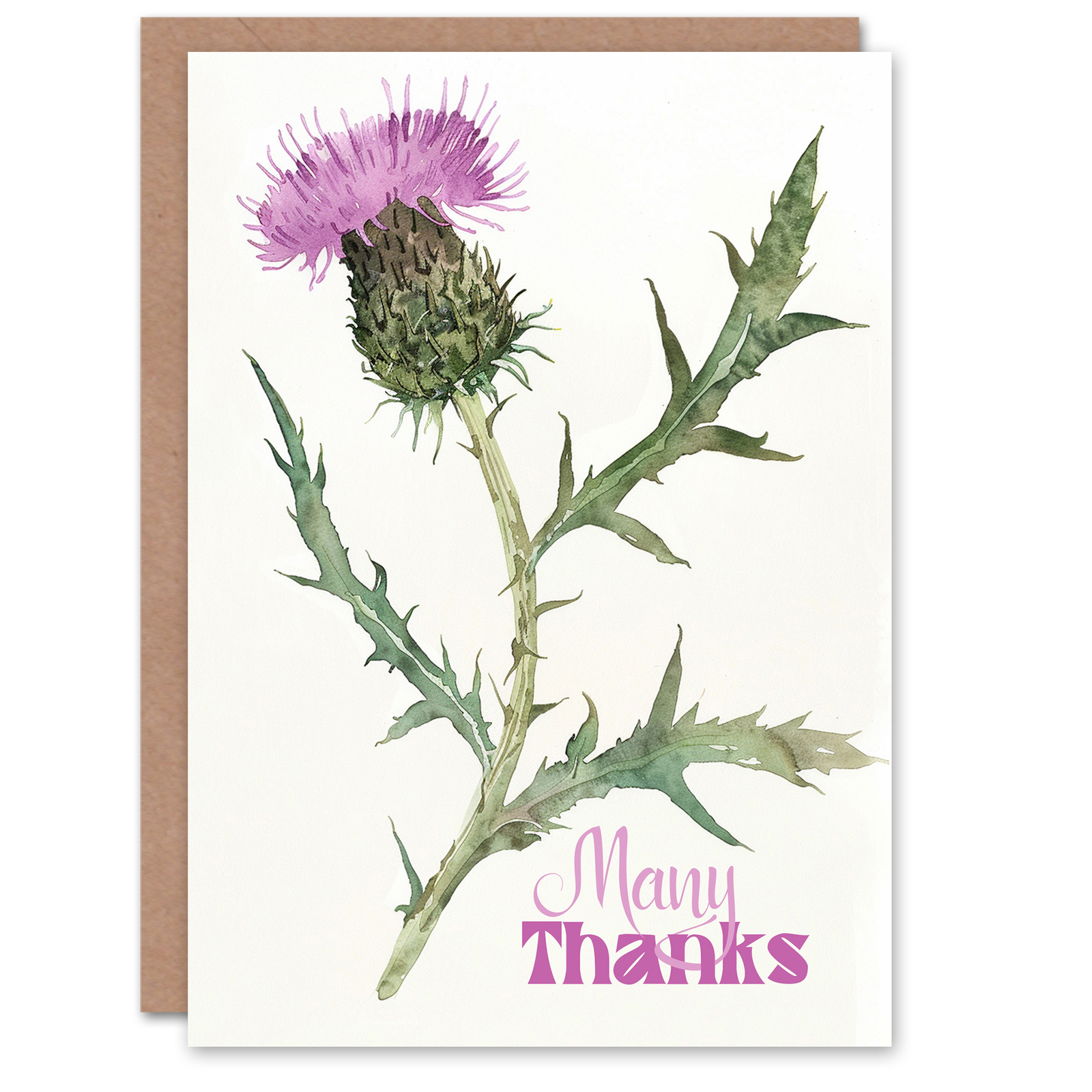 Single Scottish Thistle Flower Bloom Watercolour Thank You Card
