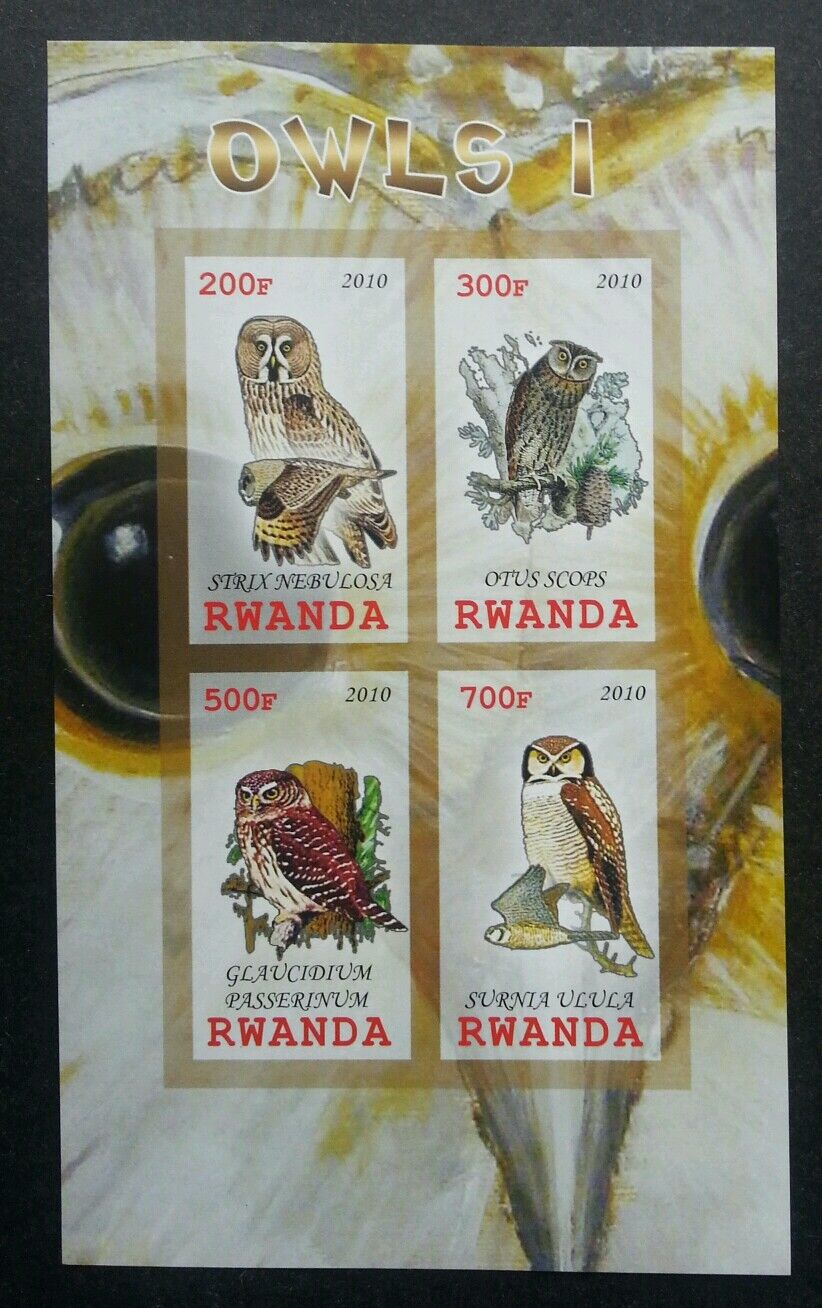*FREE SHIP Rwanda Owl 2010 Bird Of Prey Fauna (ms) MNH *imperf