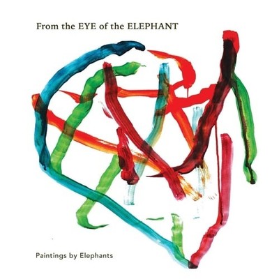From the Eye of the Elephant The Elephant Paintings - paperback NEW Galen Garwoo