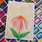 ACEO Original Watercolor & Ink Painting Cone Flower Signed KatieBearDesigns — photo 2