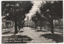 MONTE GIBERTO - ASCOLI PICENO - AVENUE WITH SANCTUARY MADONNA DELLE GRAZIE -17659-