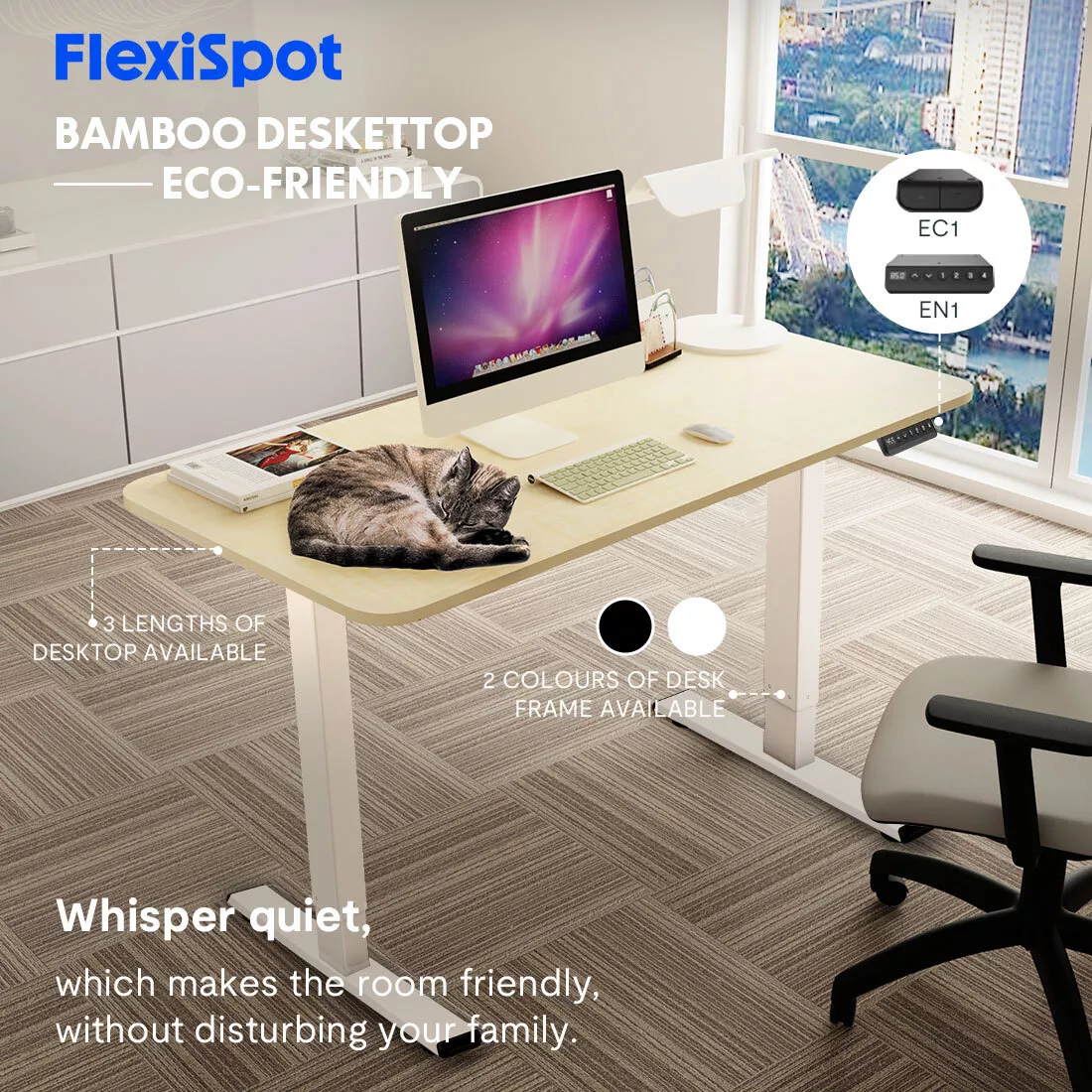 En1 flexispot 2024