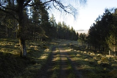 Foto 6x4 Straße, Dalvey Kirkmichael\/NO0860 benutzt vom Cateran Trail. the c2017