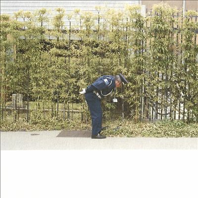 Gold Panda Good Luck And Do Your Best CD New 4250506816568