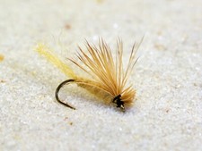 12 Flies -X Caddis Dry Fly - tied Mustad Signature Fly Fishing Hooks