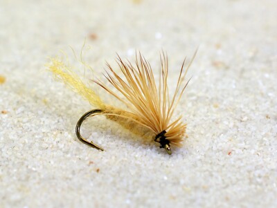 12 Flies -X Caddis Dry Fly - tied Mustad Signature Fly Fishing Hooks