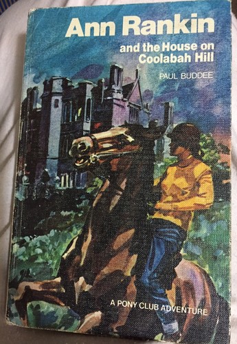 Paul Buddee x2 Ann Rankin Books - The Lost Valley - The House On Coolabah Hill - Bild 9 von 12