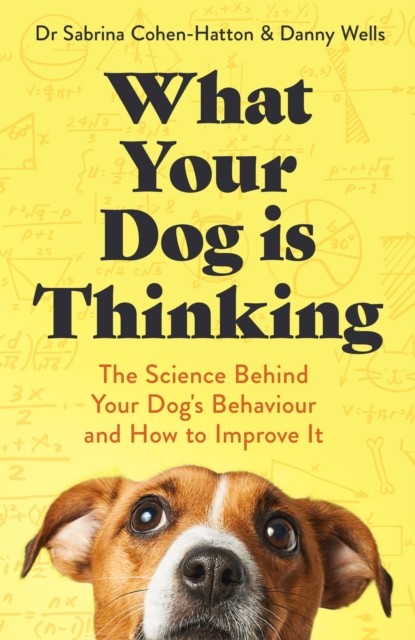 What Your Dog is Thinking - Image 4