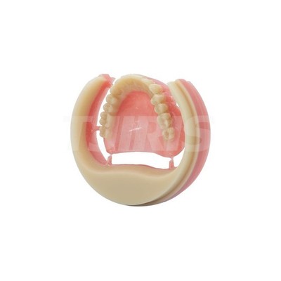 Dental Full Denture PMMA Disc Double Layers PMMA Blank 98x25mm
