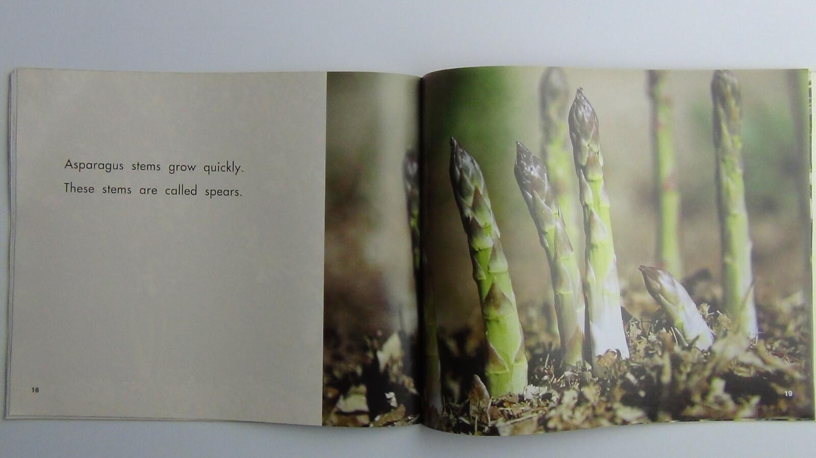 Pebbles Plus Books STEMS by Vijaya Khisty Bodach 2007 Paperback FREE