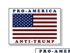 PRO AMERICA Anti TRUMP Decals USA BUMPER STICKER 3 PACK 4" wide