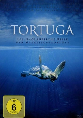 Tortuga Die Unglaubliche Reise Der Meeresschildkr te 4006448757168 EBay tortuga-die-unglaubliche-reise-der-meeresschildkr-te-4006448757168-ebay