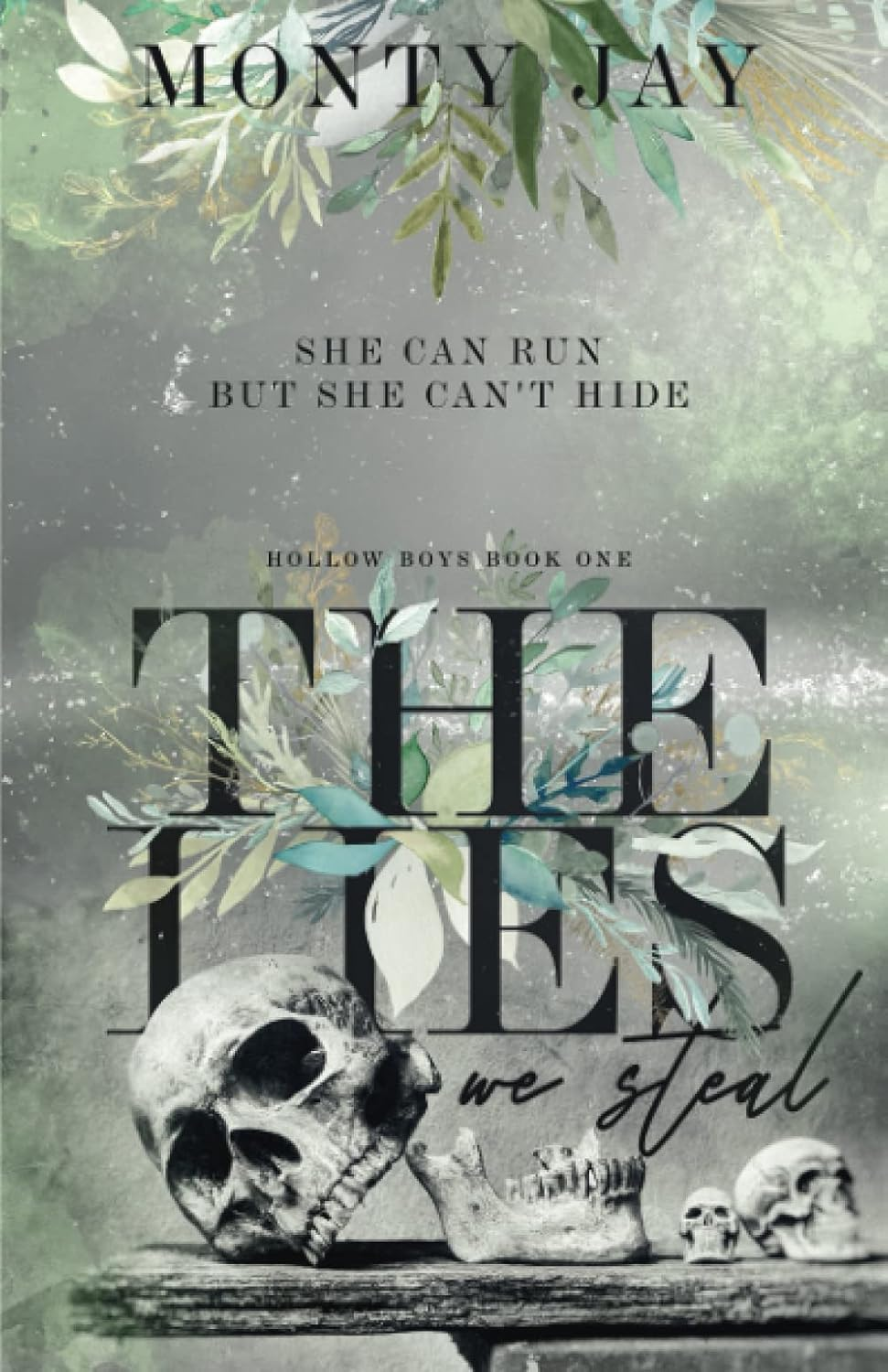 The Lies we Steal (The Hollow Boys)