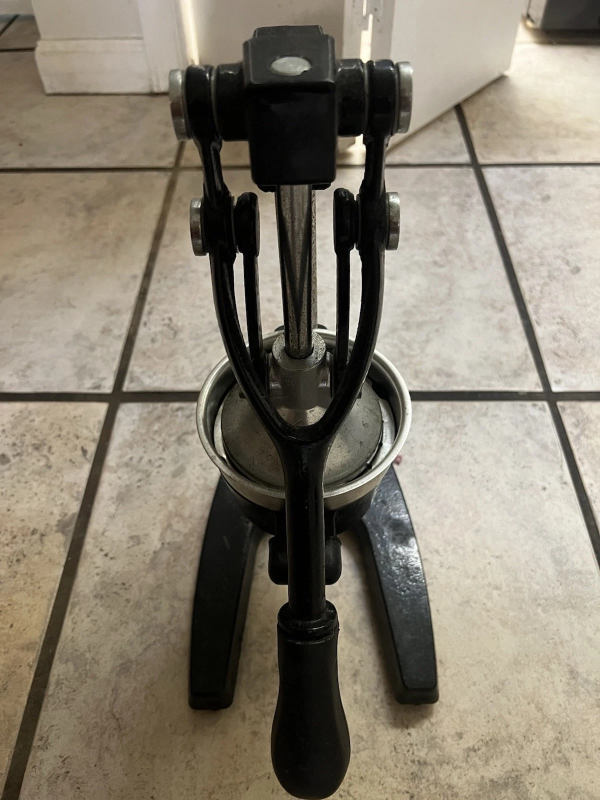 Professional Fruit & Citrus Hand Press Juicer