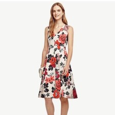 Ann Taylor Petite Sundrenched Floral Flare Dress