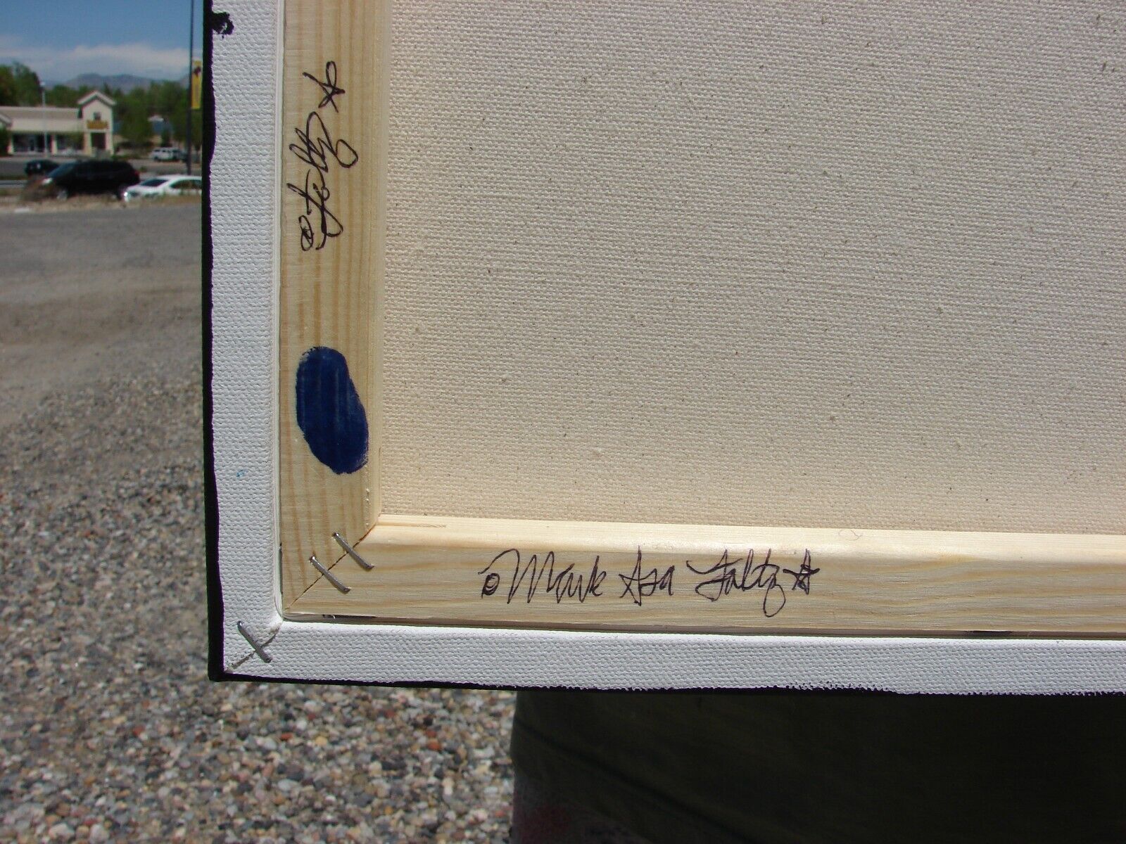 Picture 6 of 6